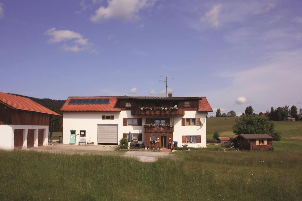 Apartamento Haus Anny Haidmühle Exterior foto